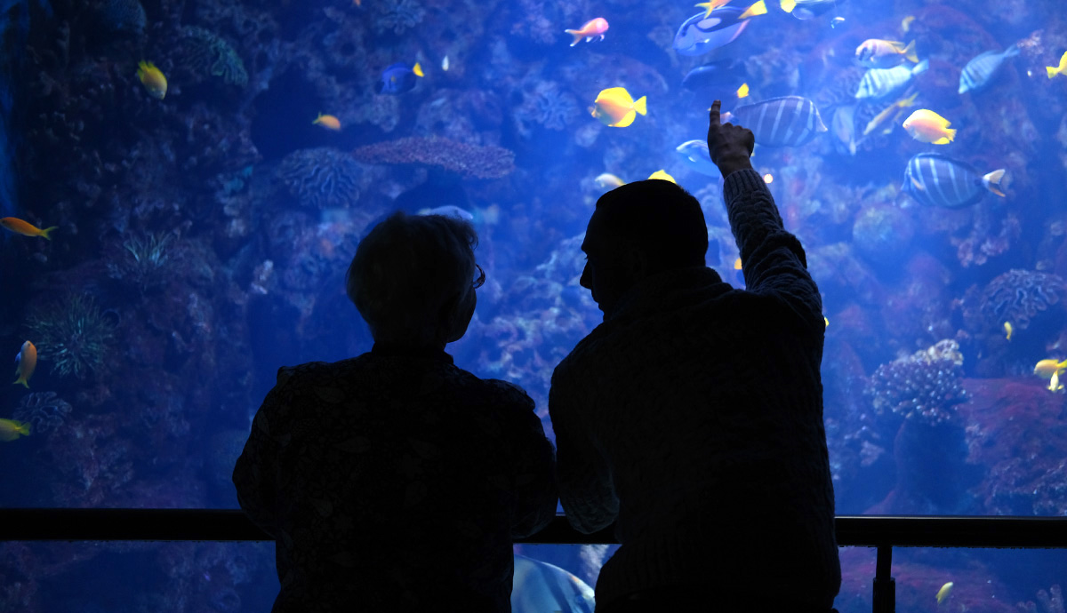 Two friends stand in front of a large aquarium while one of them points at a fish.