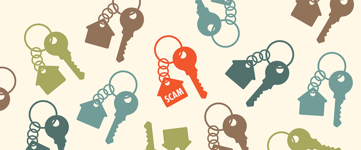 An illustration of many multicolored keyrings with a single key and a house shaped keychain accessory that says “scam”